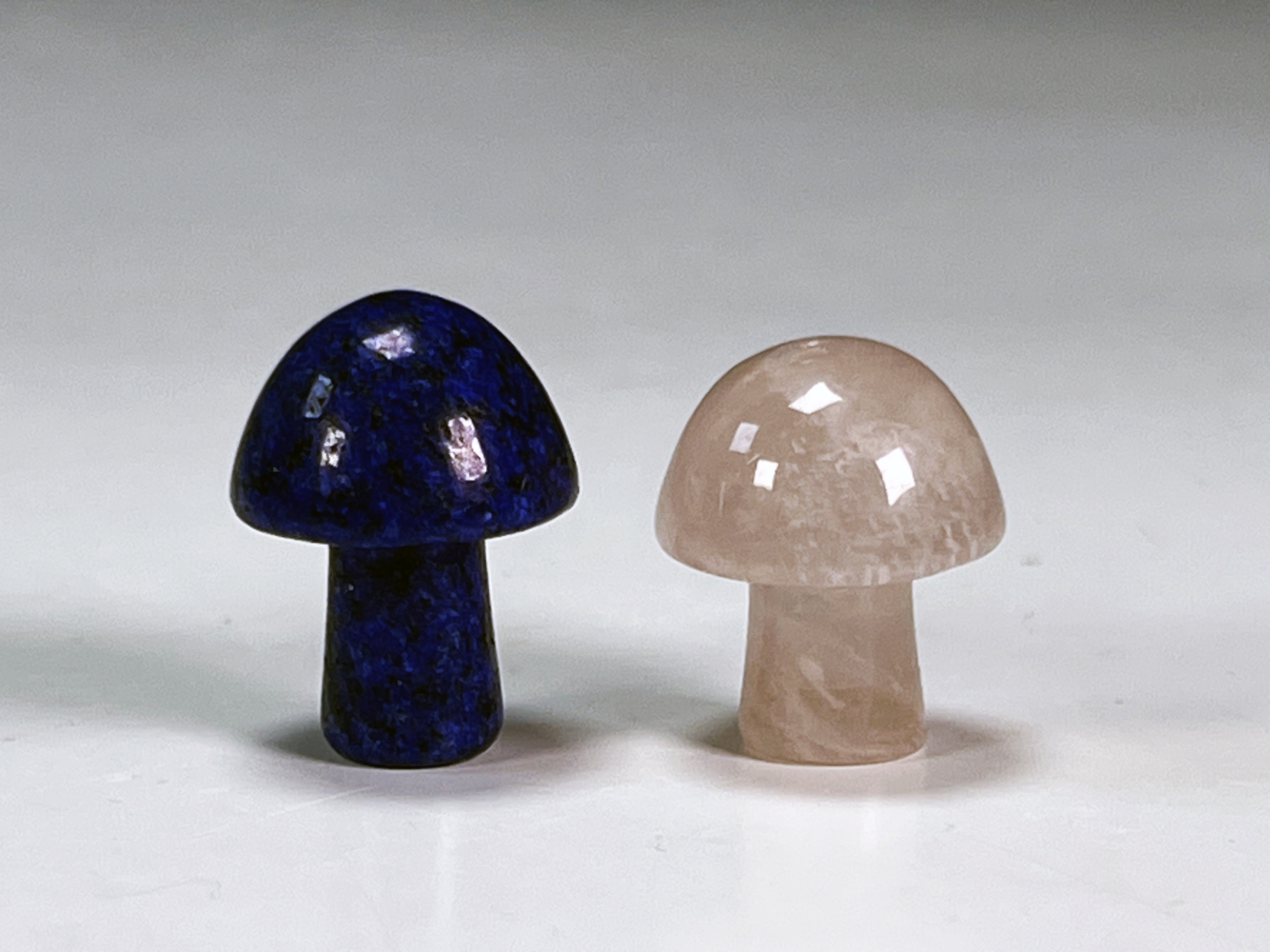 Two Stone Mushrooms image 1