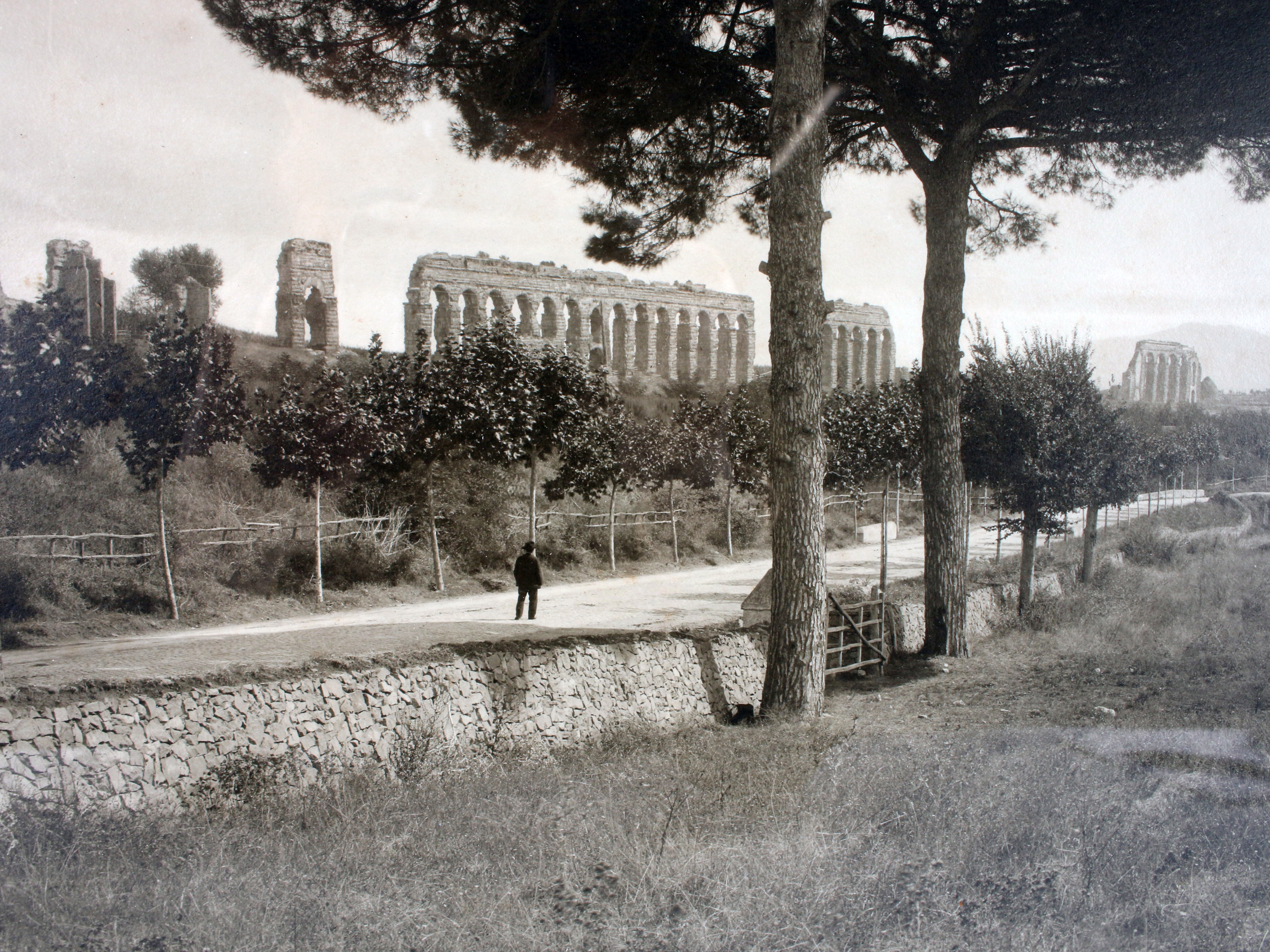 Print Of Claudio Aqueduct Roman Ruins Behind Trees image 2