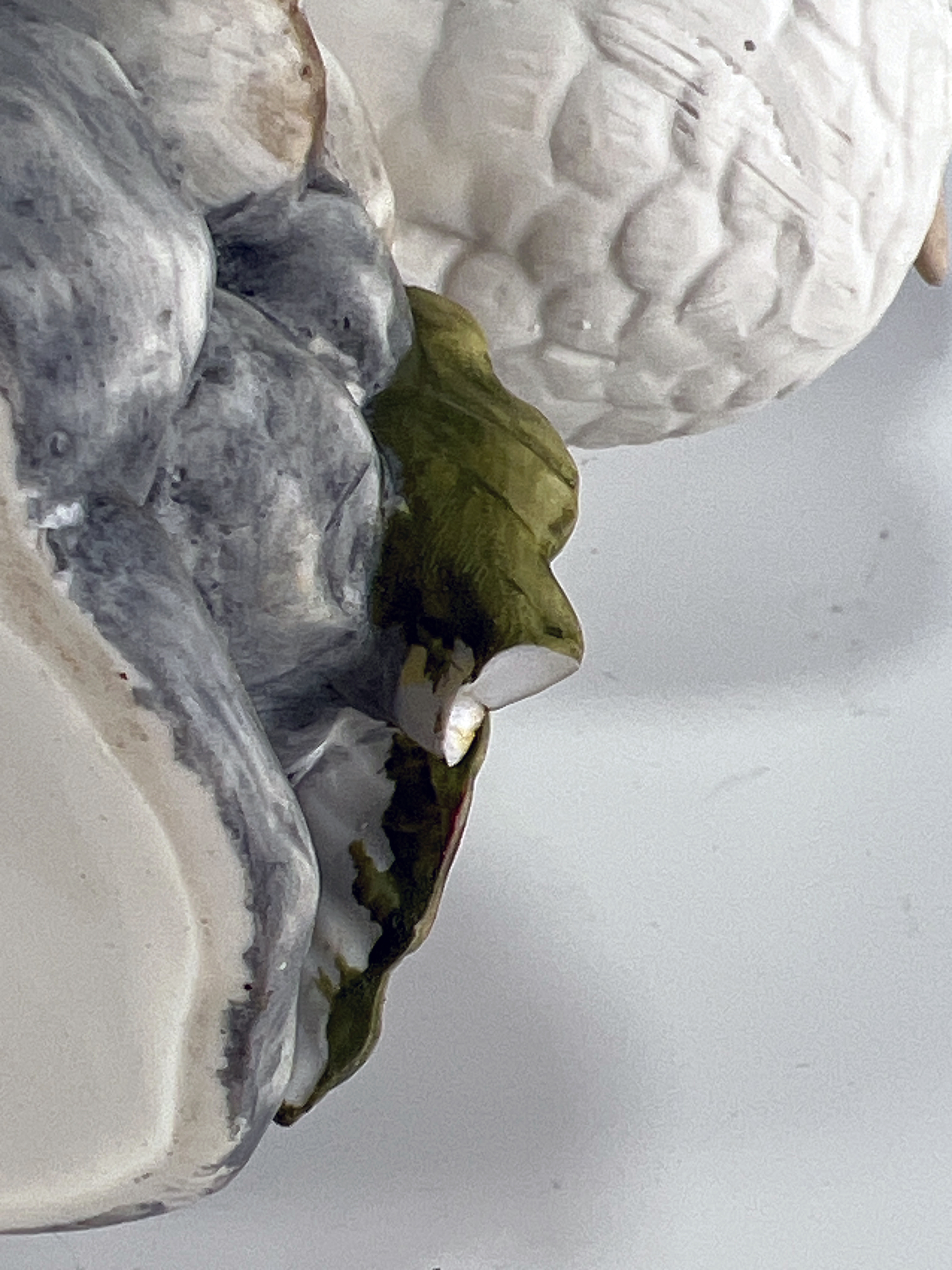 White Dove Bisque Porcelain Royal Crown image 6