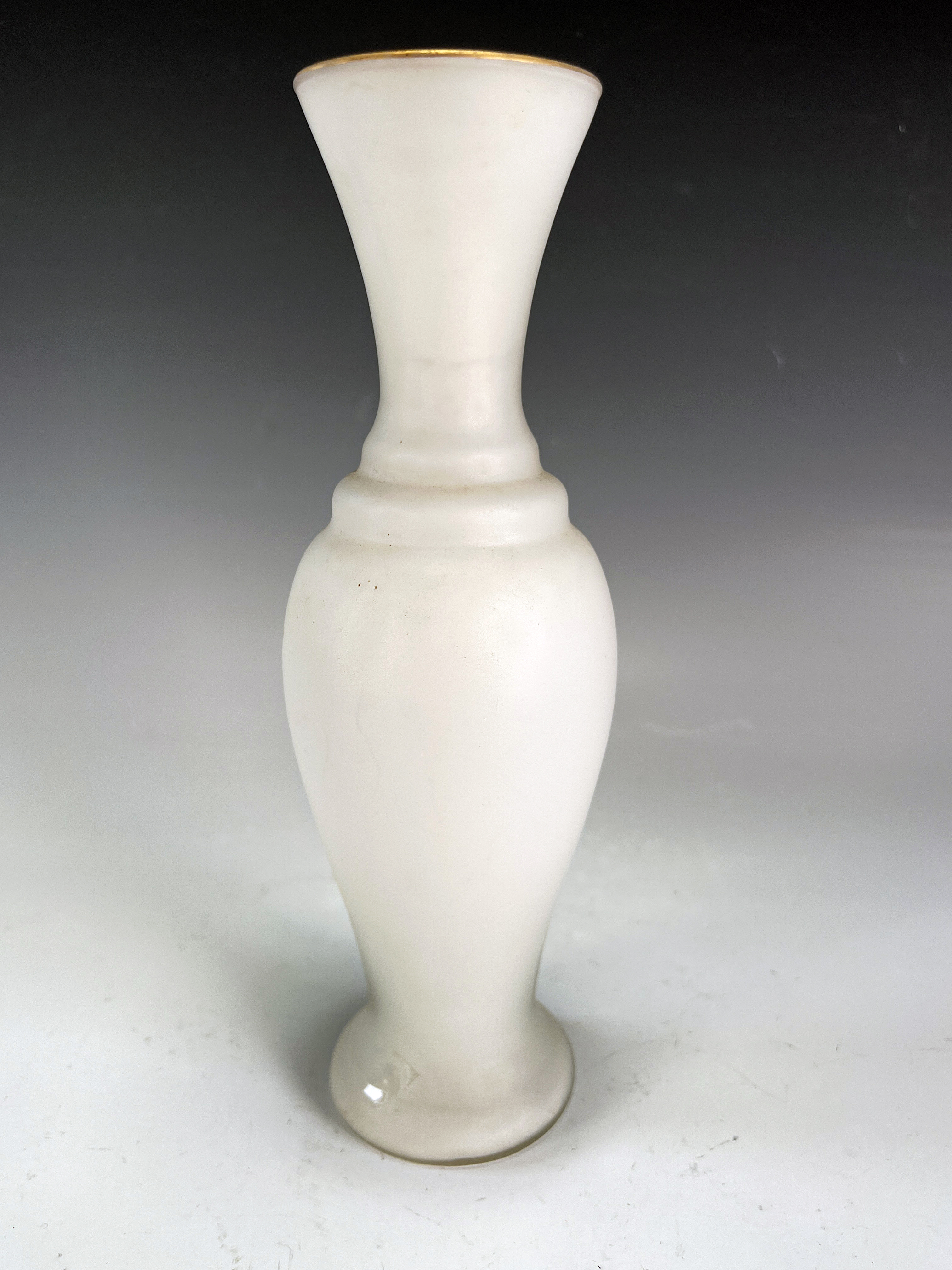 Frosted Glass Beauty Vase image 3