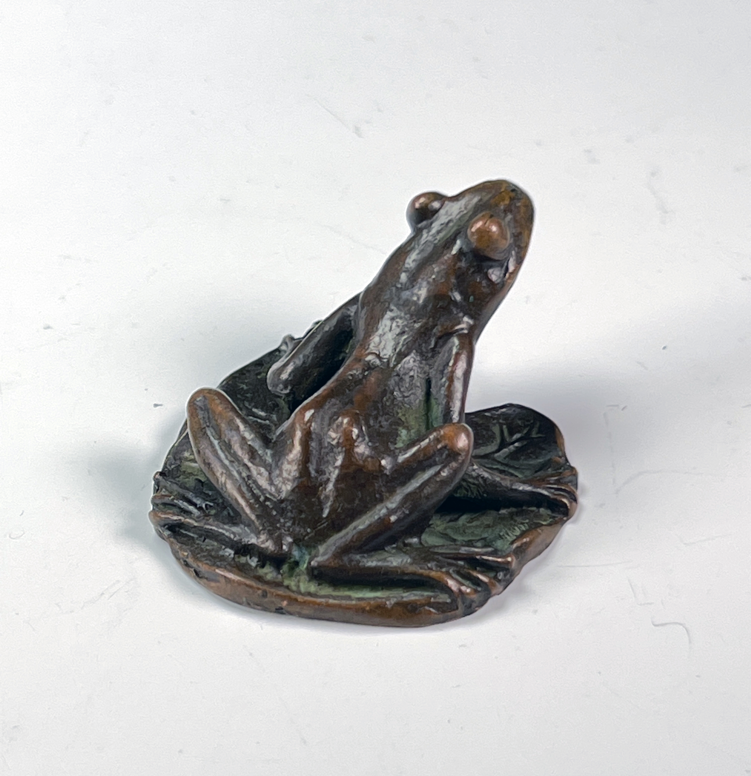 Enchanting Bronze CloisonnÃ© Frog On Lily Pad - Oriental Elegance image 2
