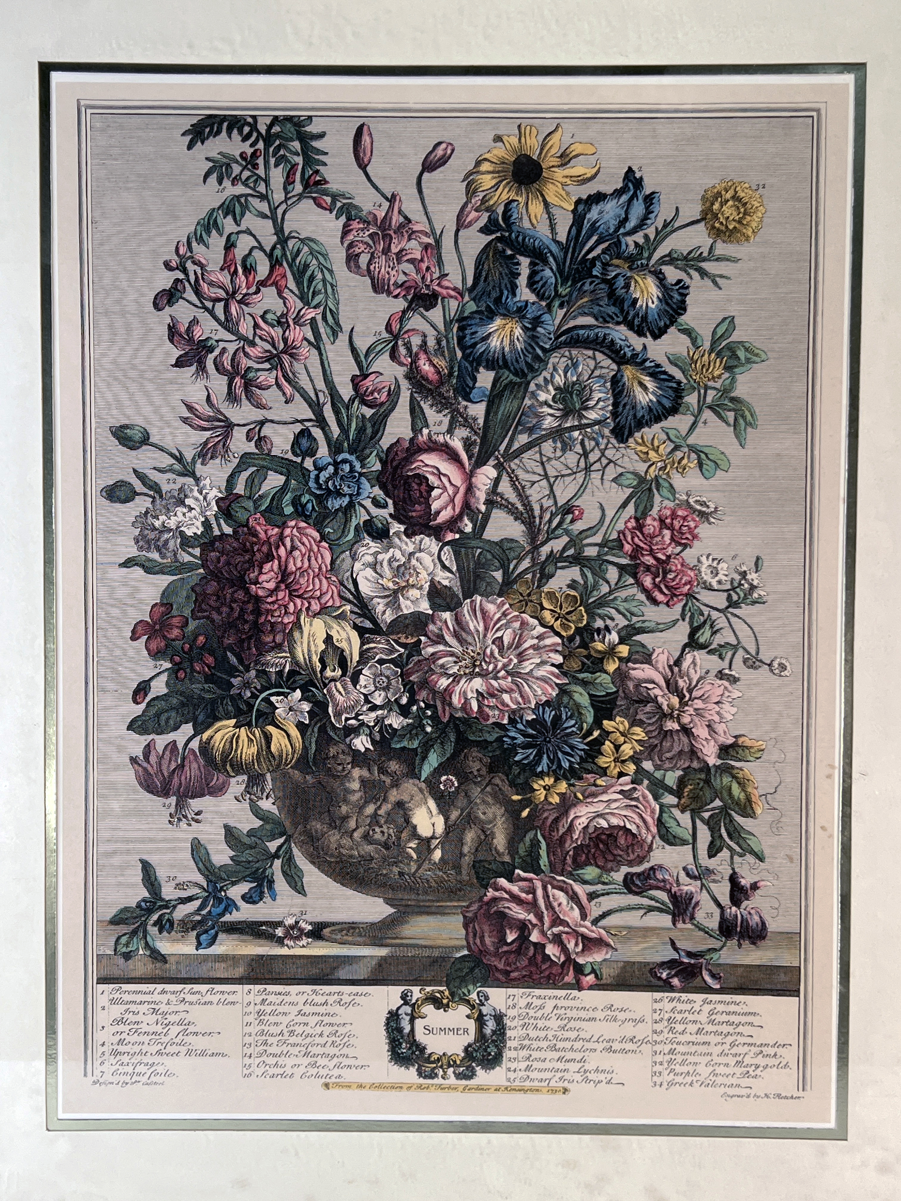 Summer Botanical Print image 2