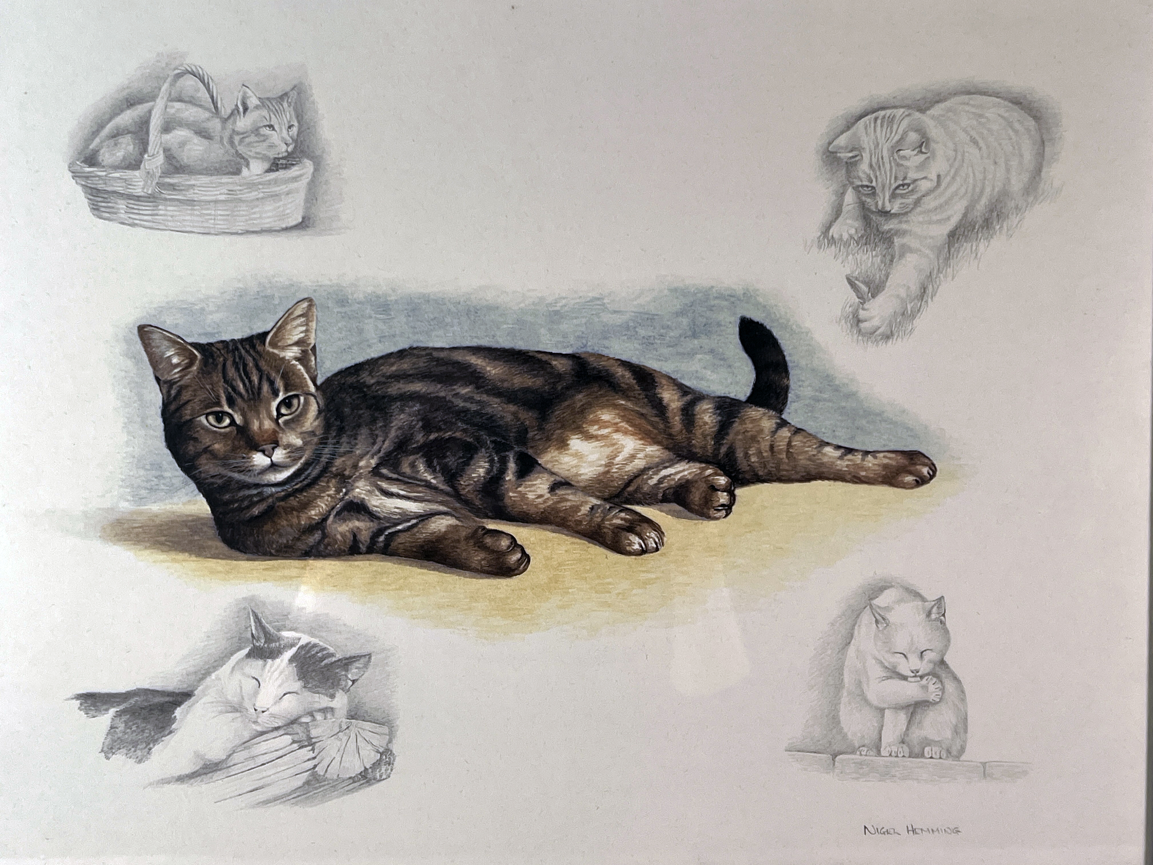 Nigel Hemming Signed Cat Study image 2